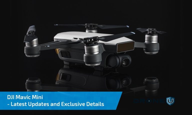 dji mavic mini skroutz